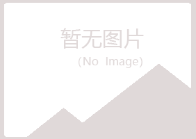 衡阳雁峰白山电讯有限公司